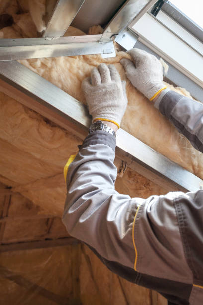 Best Energy Efficiency Insulation in Livonia, LA