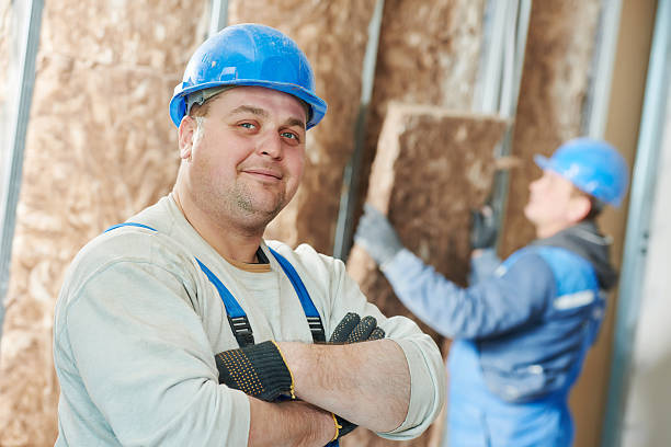 Best Eco-Friendly Insulation in Livonia, LA